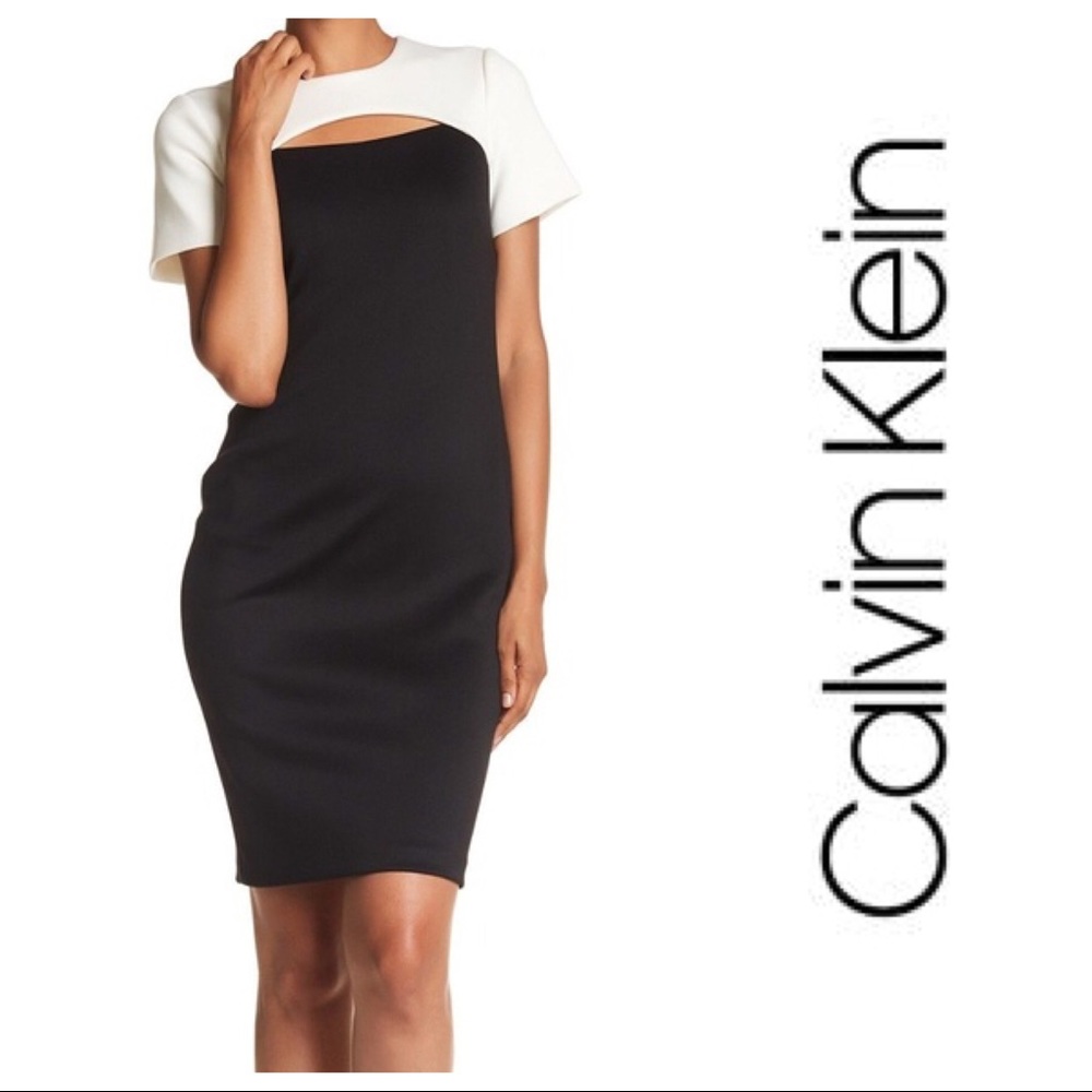 Calvin Klein Colorblock CutOut Sheath dress